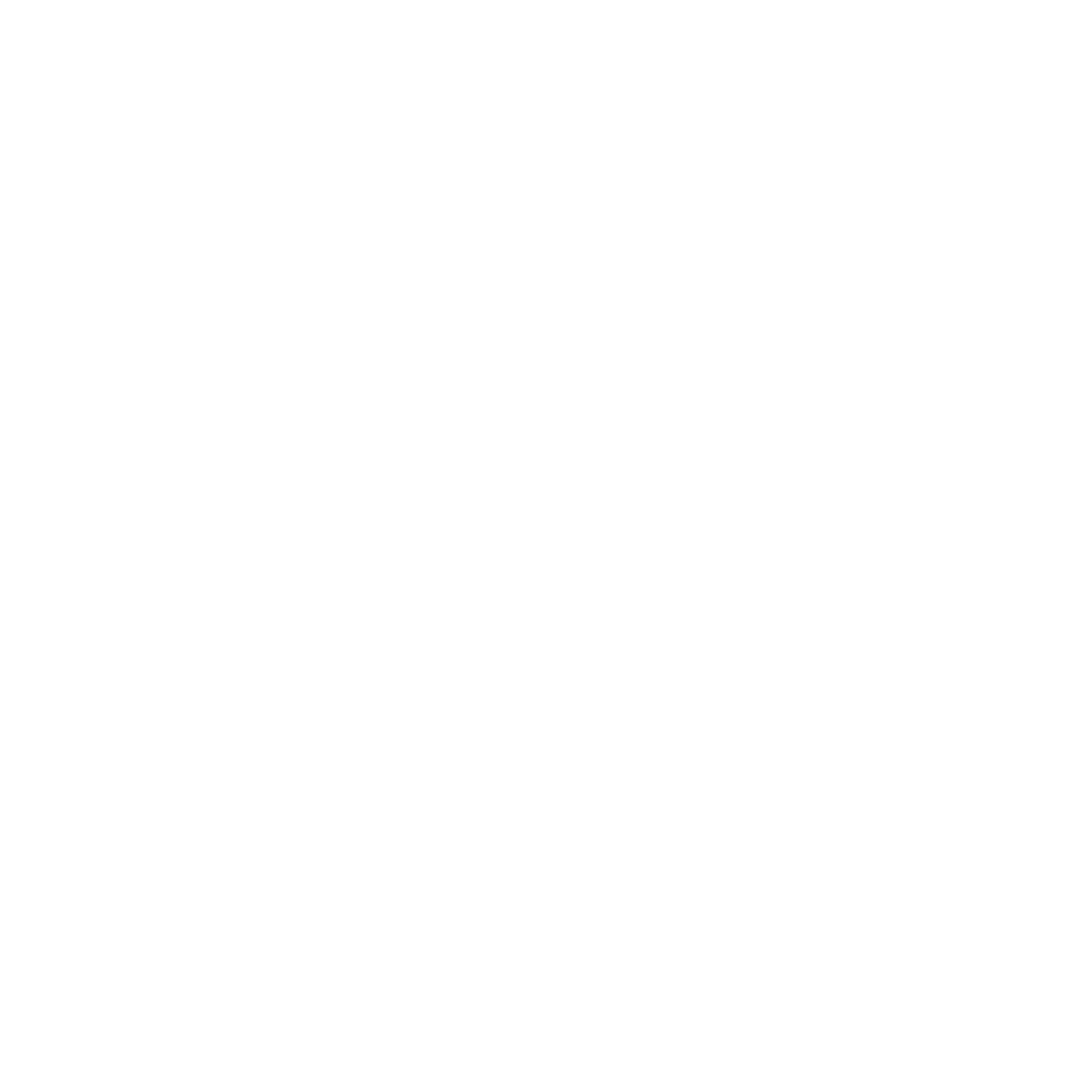 Packaging Inspection Icon