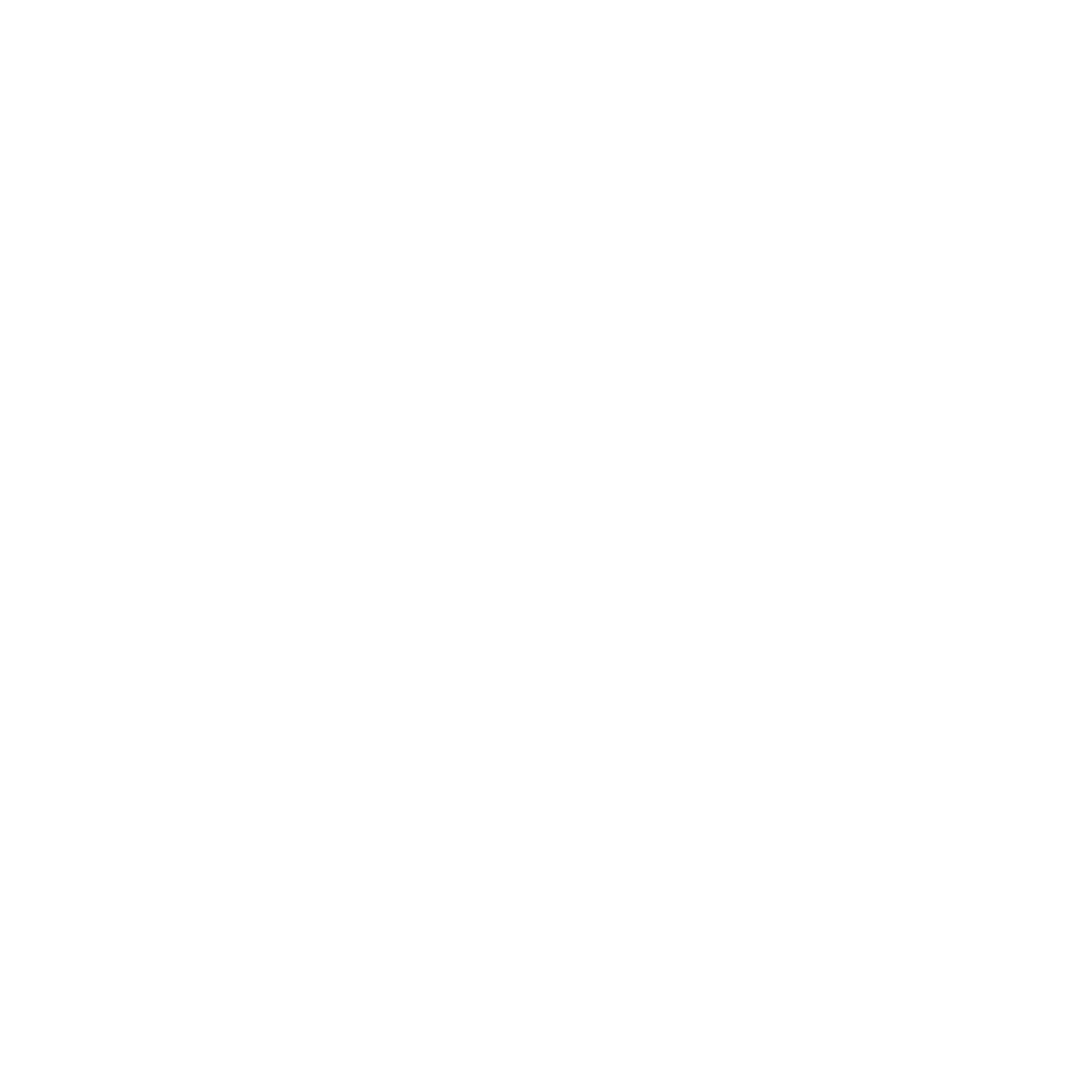 Verify & Delivery Icon